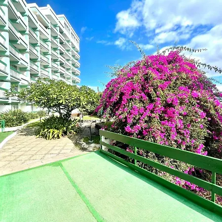 Studio E With Wifi, Pool And Amazing View بويرتو ذي لا كروز