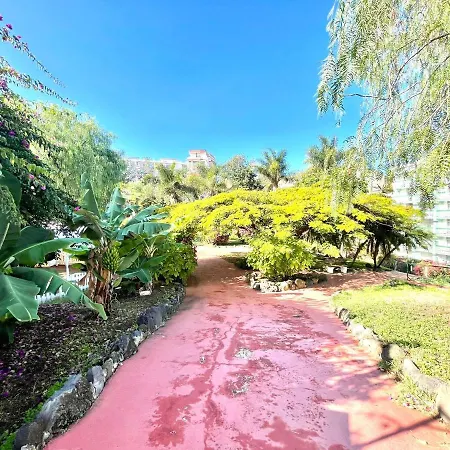 Studio E With Wifi, Pool And Amazing View Apartmán Puerto de la Cruz (Tenerife)